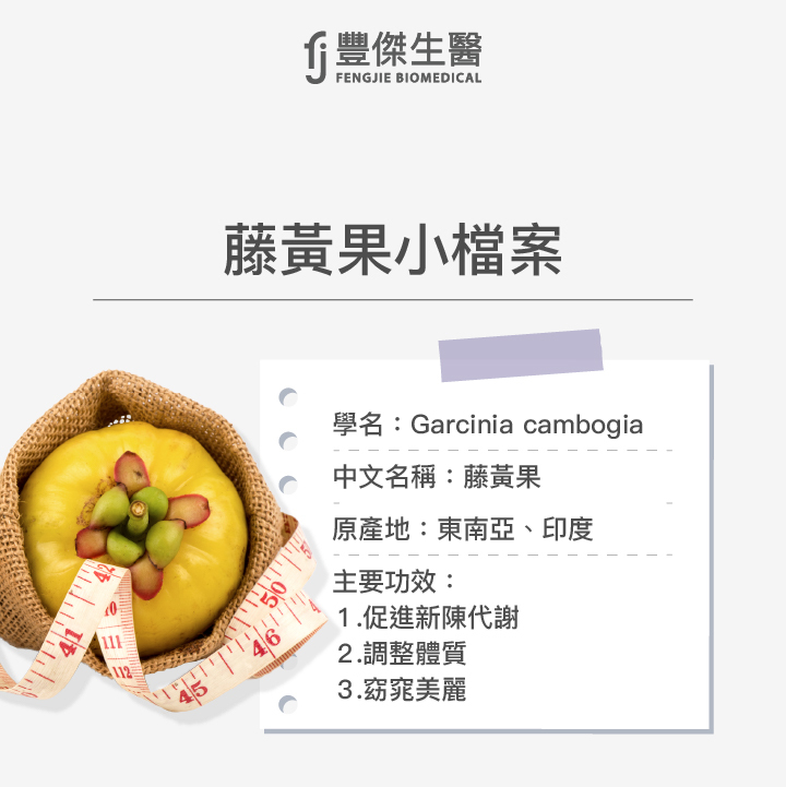 藤黃果小檔案