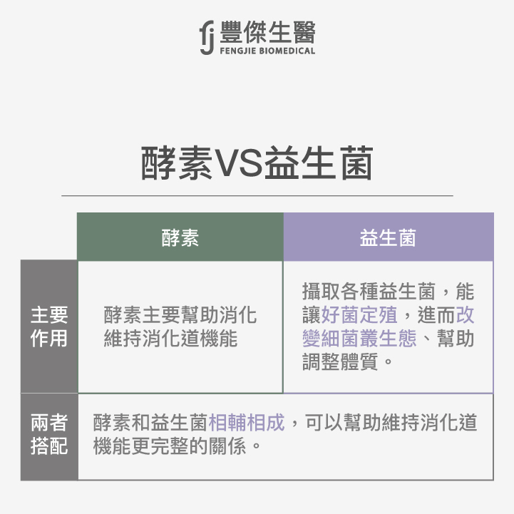 一張表讓你秒懂酵素VS.益生菌差別在哪?