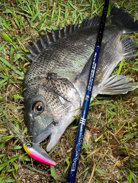 YAMAGA Blanks BlueCurrent Ⅲ Light-Game