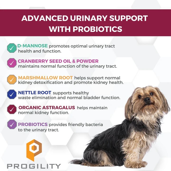 美國Nootie Progility Mini 小型及中型犬泌尿健康配方 60粒