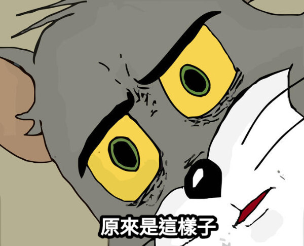 湯姆貓瞪大雙眼的驚訝特寫迷因圖，附中文字幕「原來是這樣子」。