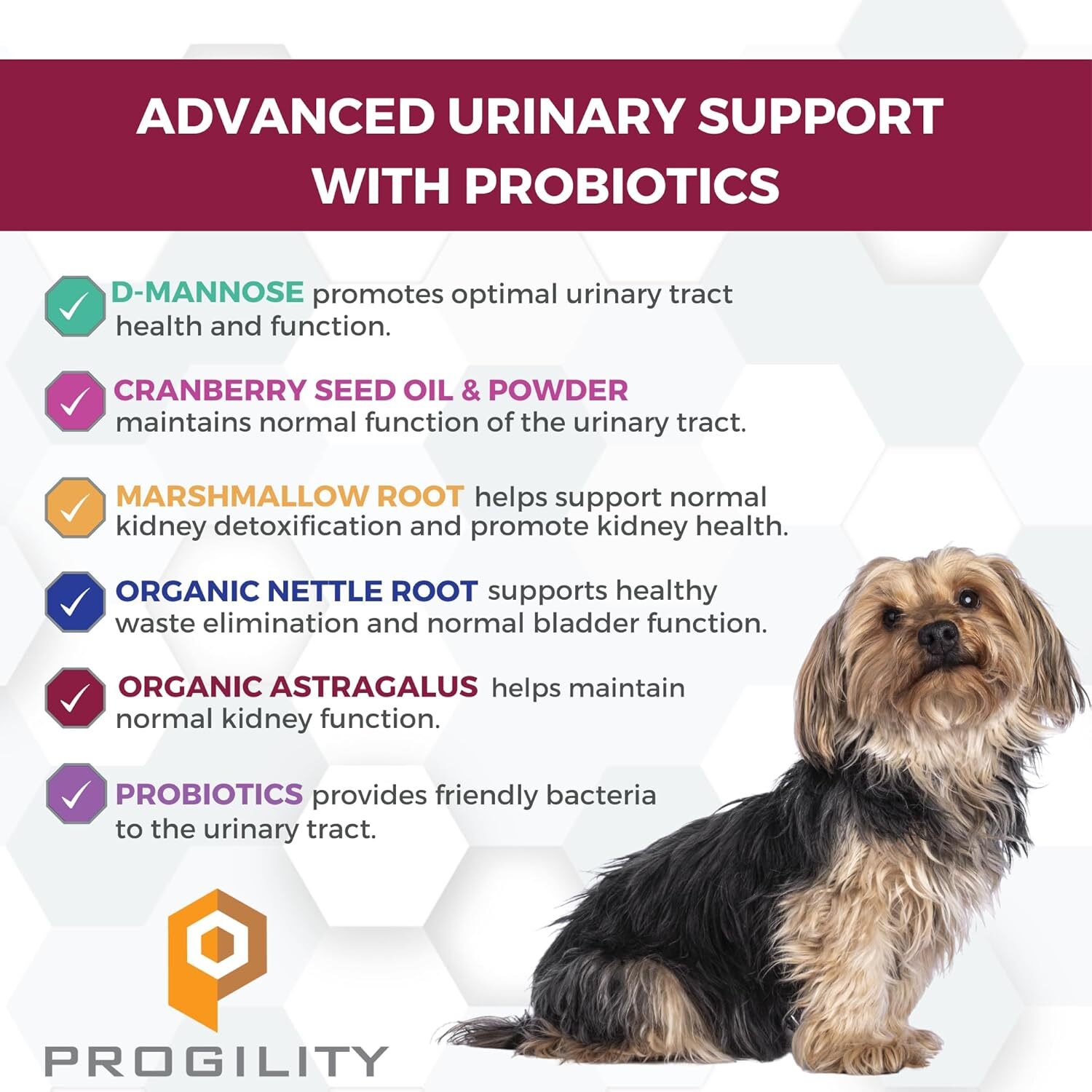 Nootie Progility Mini 小型犬+中型犬 泌尿健康配方．60粒