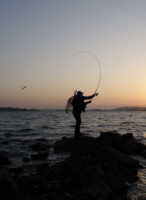 YAMAGA Blanks EARLY for Seabass