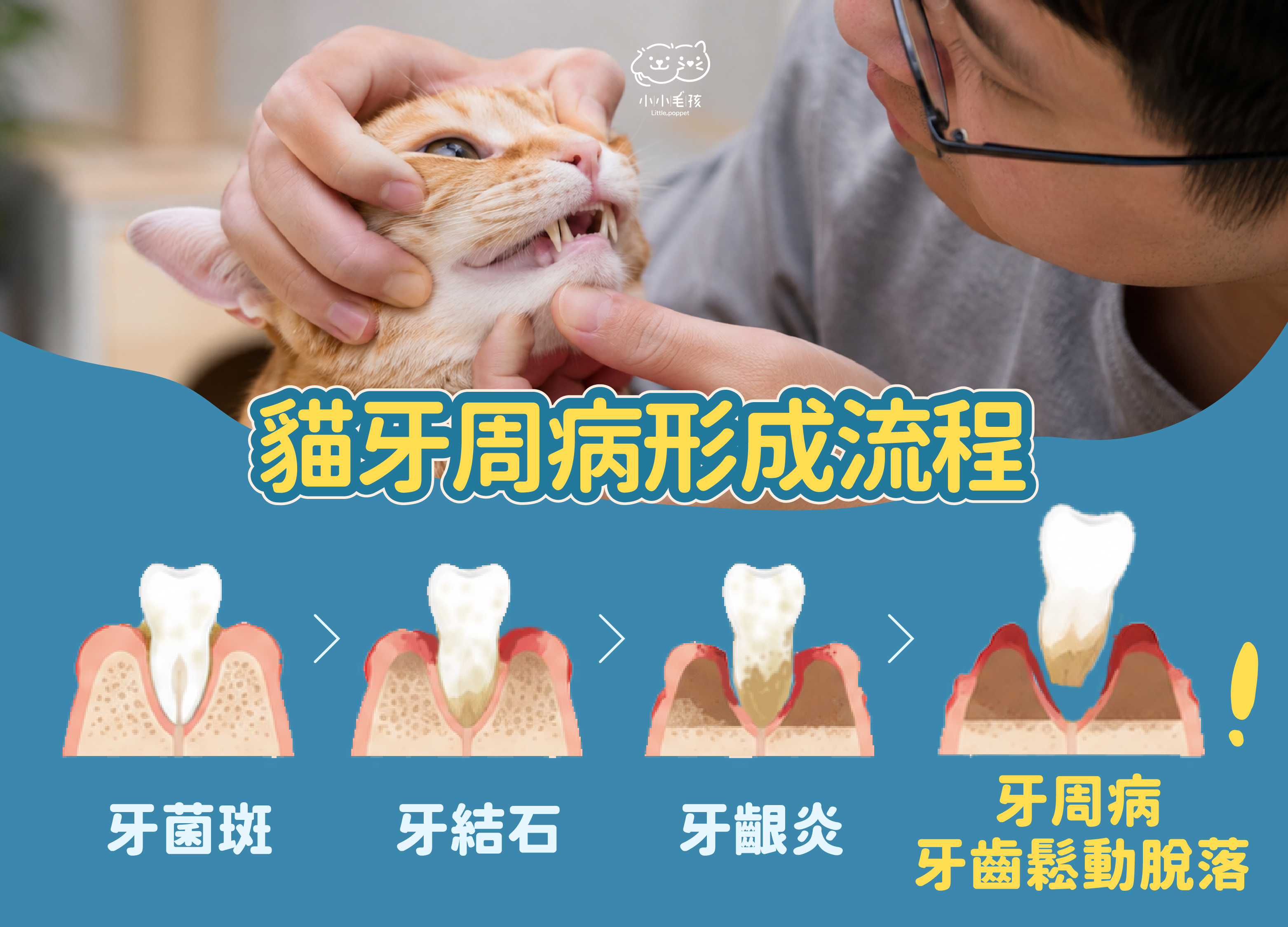 貓牙周病