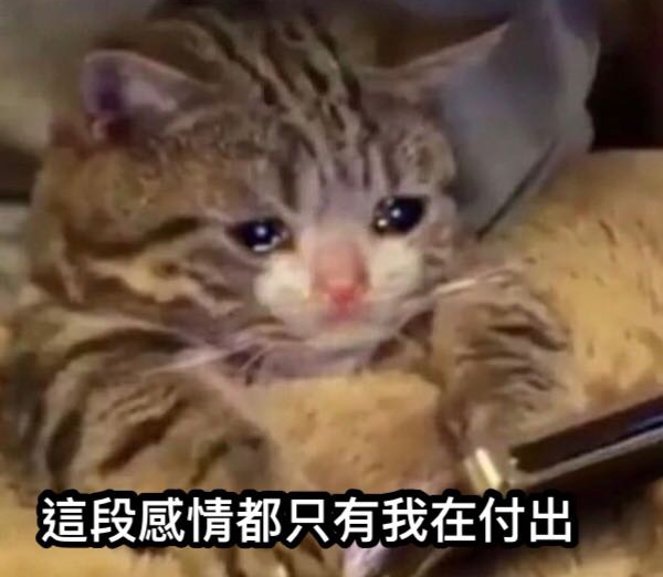 Claude responded: 哭泣貓咪迷因圖，搭配字幕「這段感情都只有我在付出」，用於呼應 Steam Controller 在 MacOS 平台上功能大打折扣、單方面付出卻得不到完整回應的委屈處境。哭泣貓咪迷因圖，搭配字幕「這段感情都只有我在付出」，用於呼應 Steam Controller 在非 Steam 平台上功能大打折扣、單方面付出卻得不到完整回應的委屈處境。