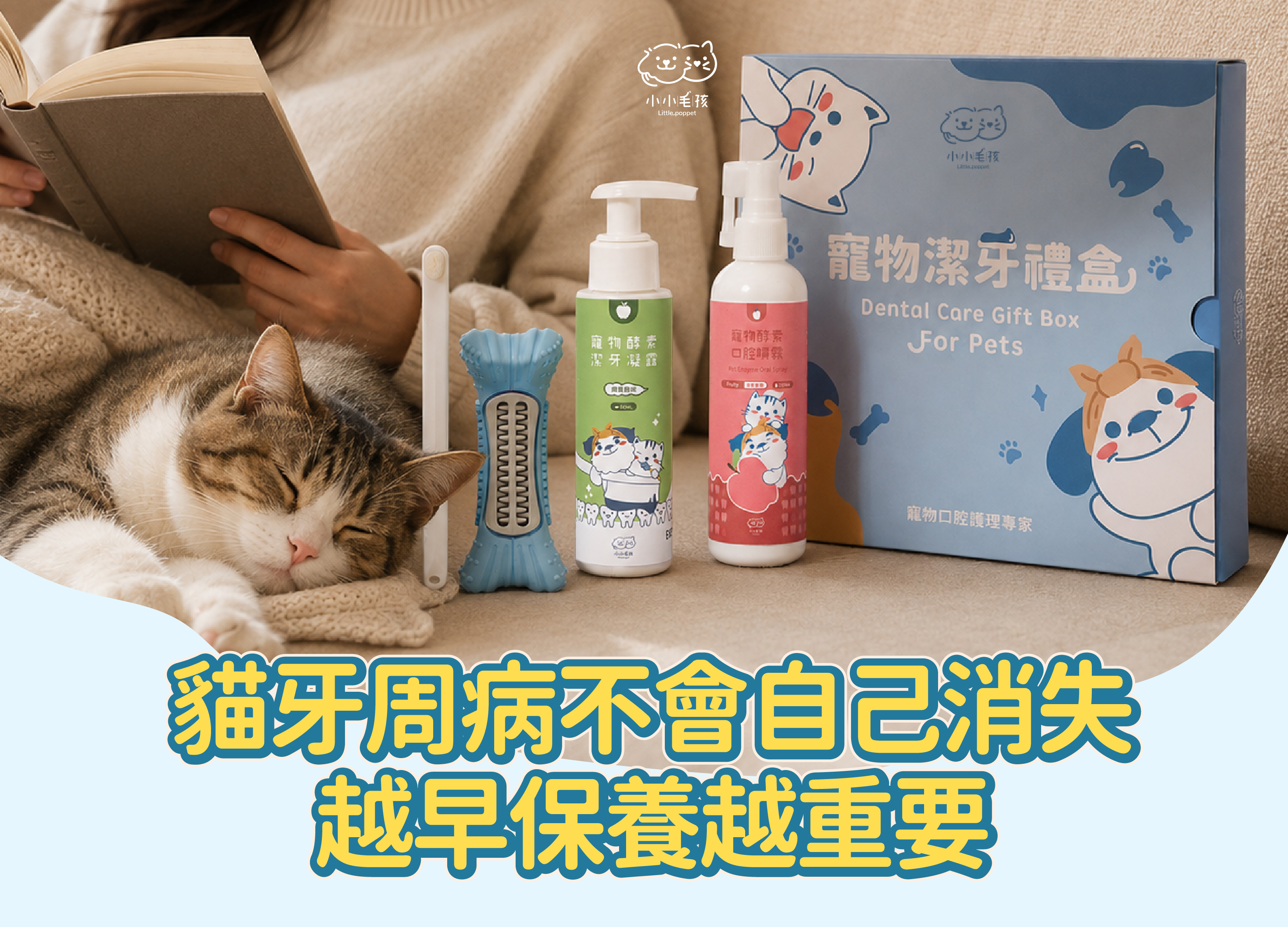 貓牙周病