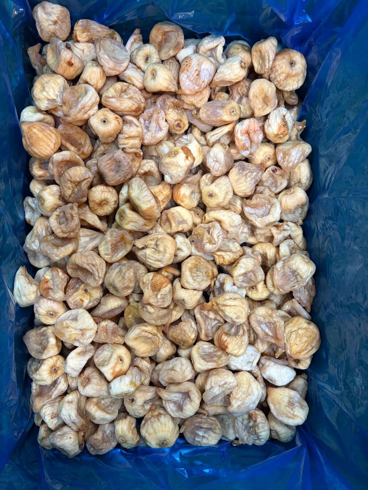 Z261 美國加洲熟無花果454g (M)$169