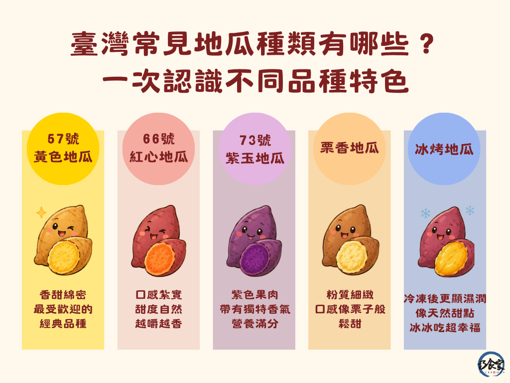 臺灣常見地瓜種類有哪些?一次認識不同品種特色
