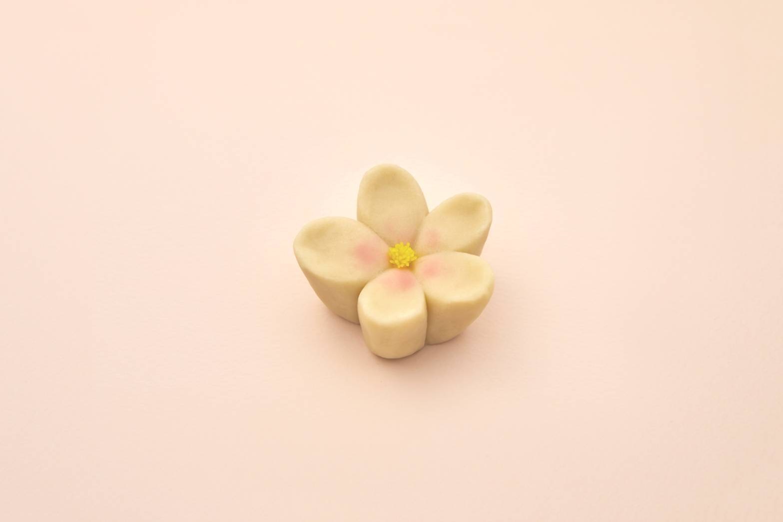 桐花