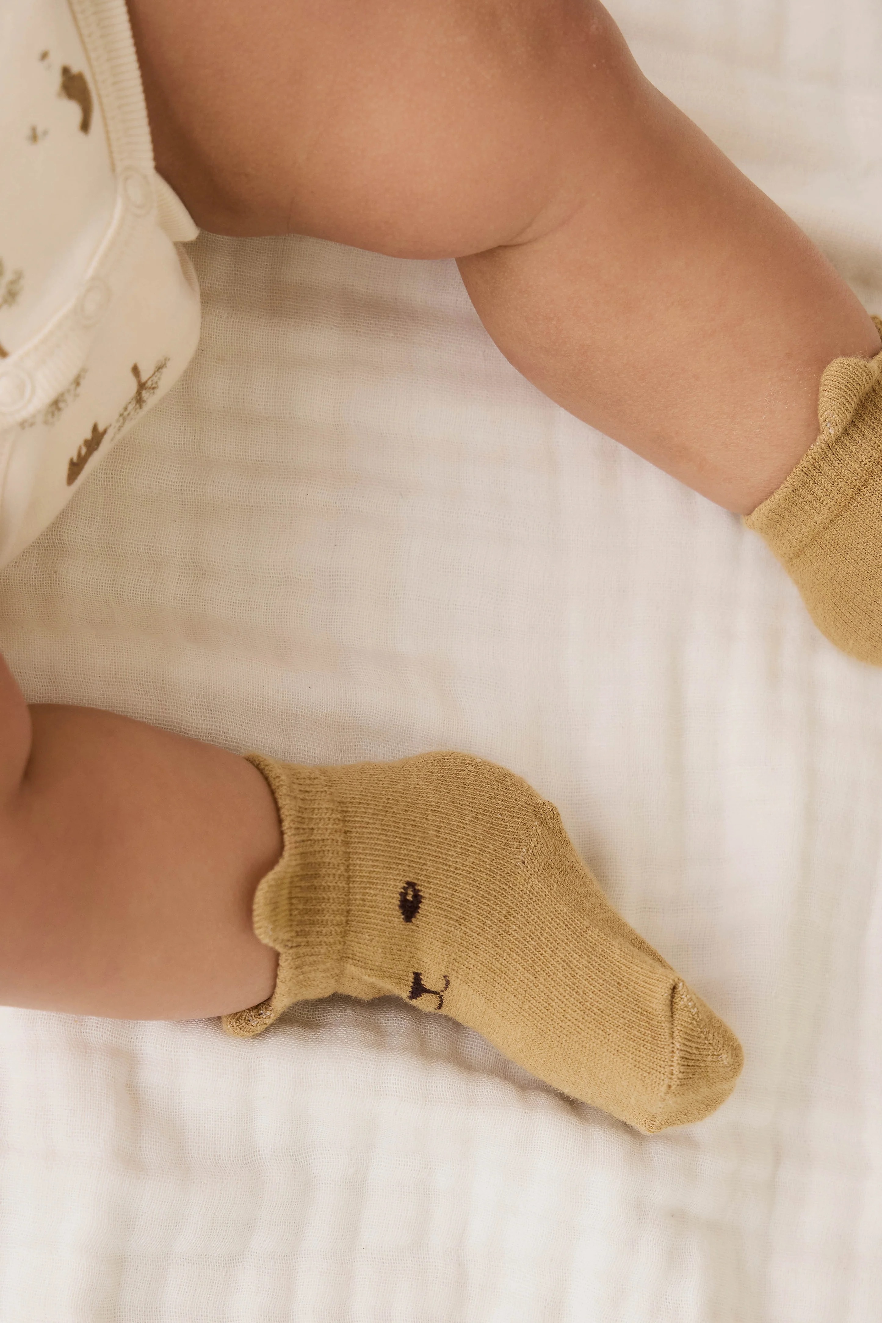 【預購】JAMIE KAY -George Bear Ankle Sock（Buckwheat）
