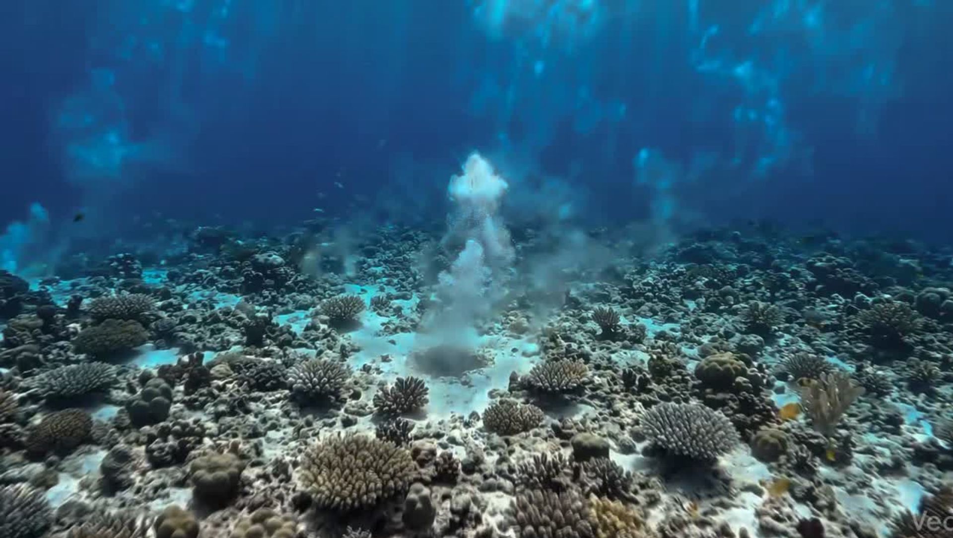 竹富島海底溫泉能看見水溫差異造成的「視覺扭曲(海市蜃樓效應)」,甚至能在氣瓶呼吸的空氣中隱約聞到硫磺味。