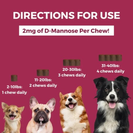 美國Nootie Progility Mini 小型及中型犬泌尿健康配方 60粒