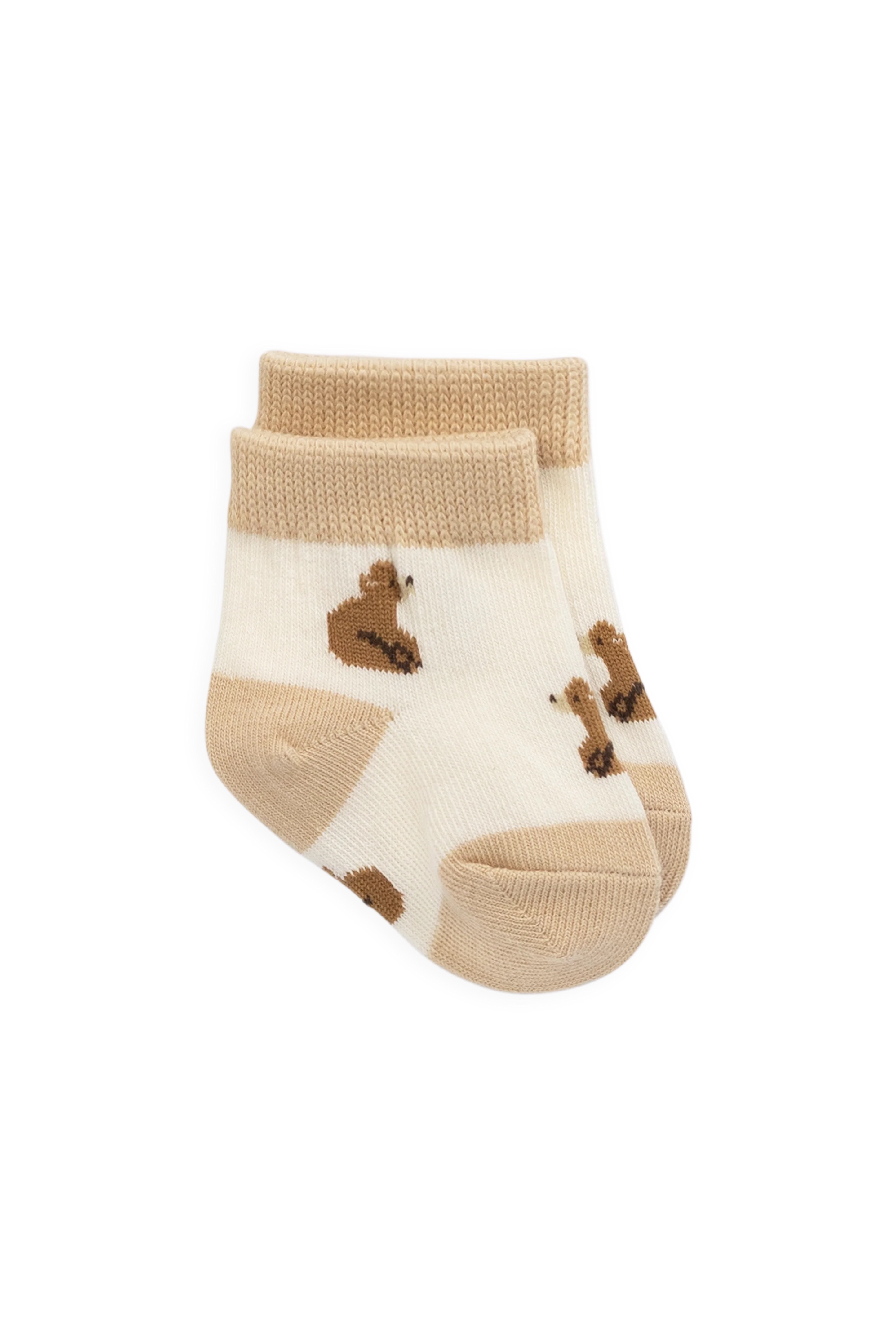 【預購】JAMIE KAY -Honey Bear Socks（Honey Bear）