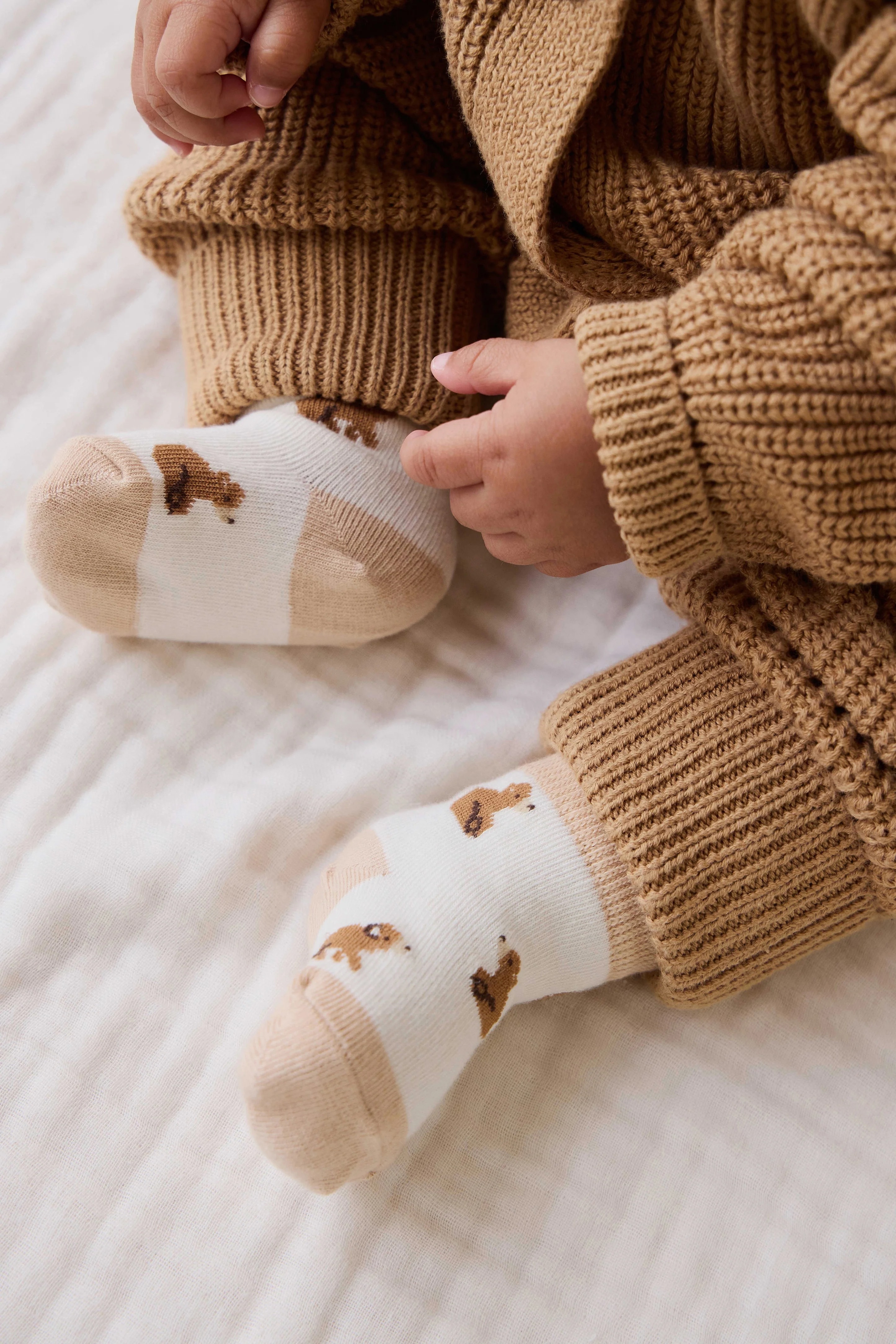【預購】JAMIE KAY -Honey Bear Socks（Honey Bear）