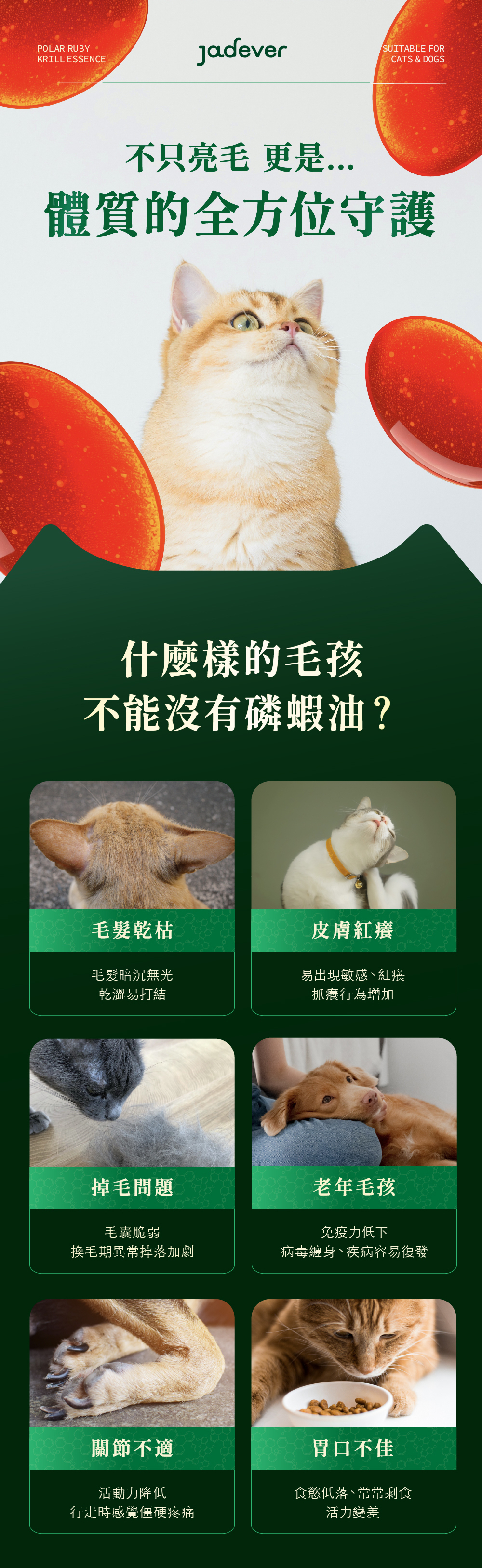 Jadever 如碧紅寶磷蝦精萃10入組（30顆/盒） 商品介紹圖 2