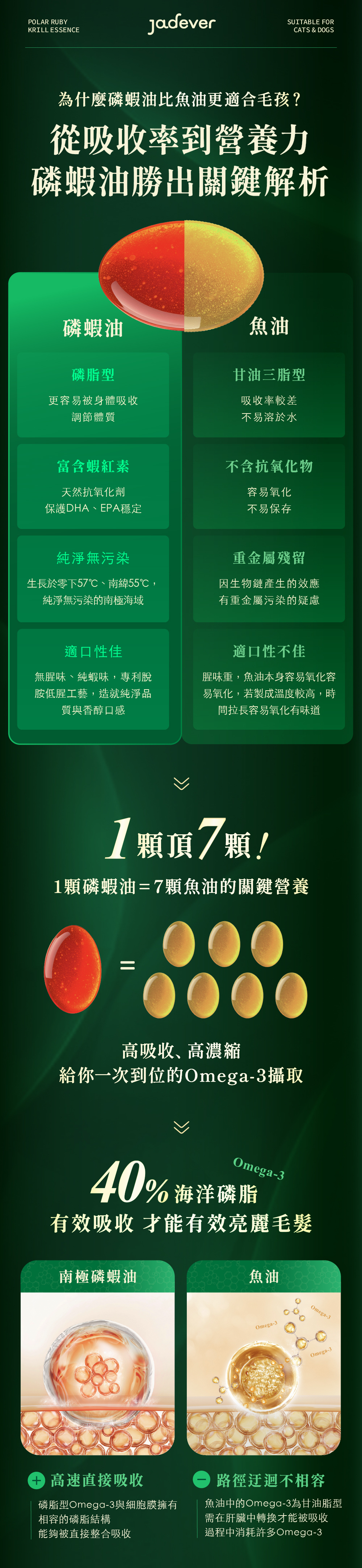 Jadever 如碧紅寶磷蝦精萃（30顆/盒） 商品介紹圖 5