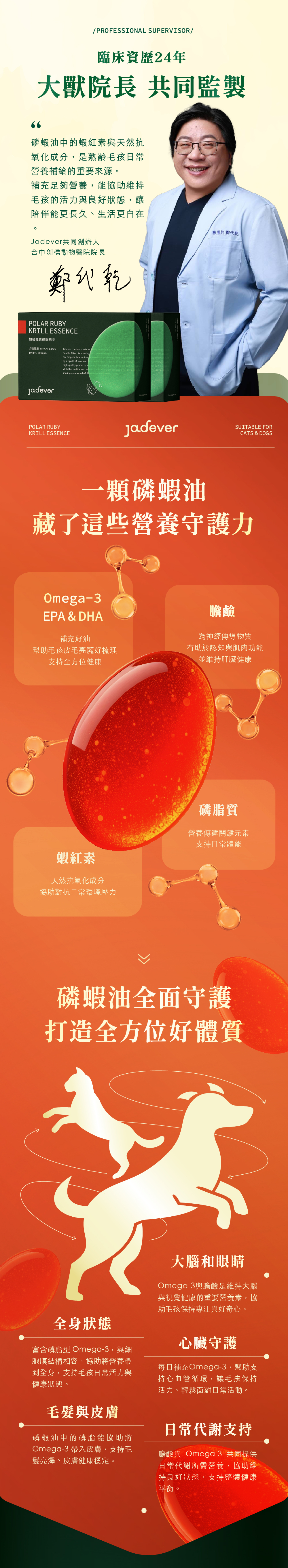 Jadever 如碧紅寶磷蝦精萃（30顆/盒） 商品介紹圖 4