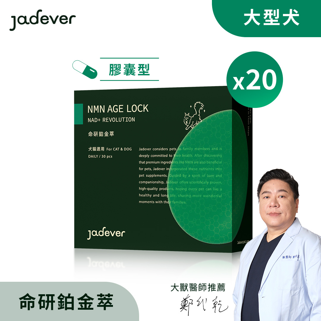 【Jadever】NMN 命研鉑金萃20入組（30顆/盒）