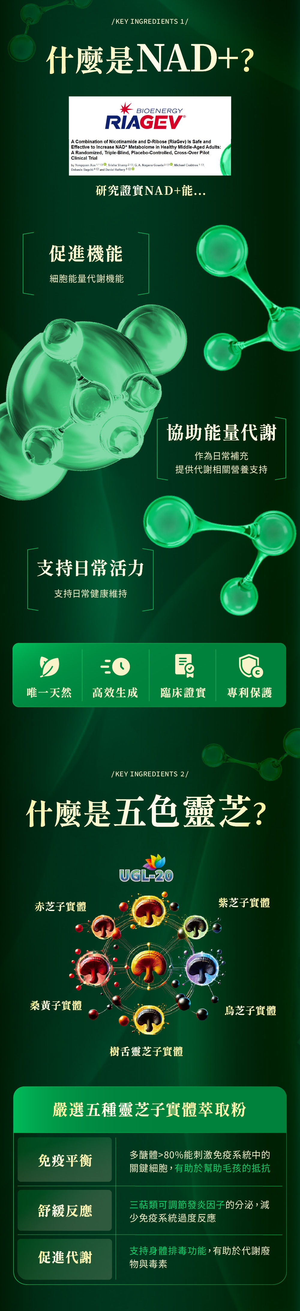 Jadever NMN 命研鉑金萃10入組（30顆/盒） 商品介紹圖 5