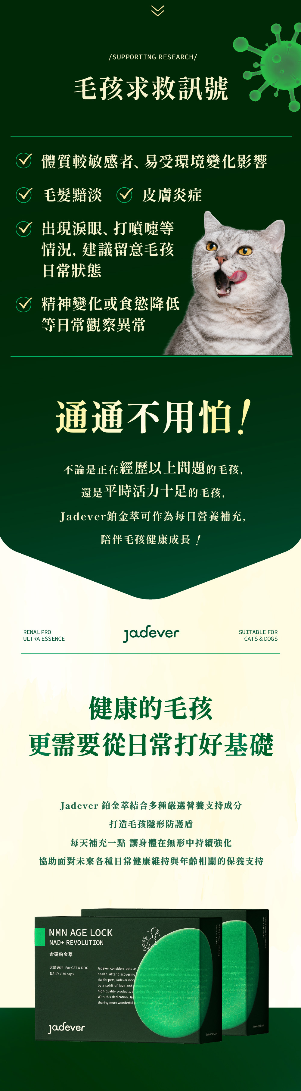 Jadever NMN 命研鉑金萃6入組（30顆/盒） 商品介紹圖 3