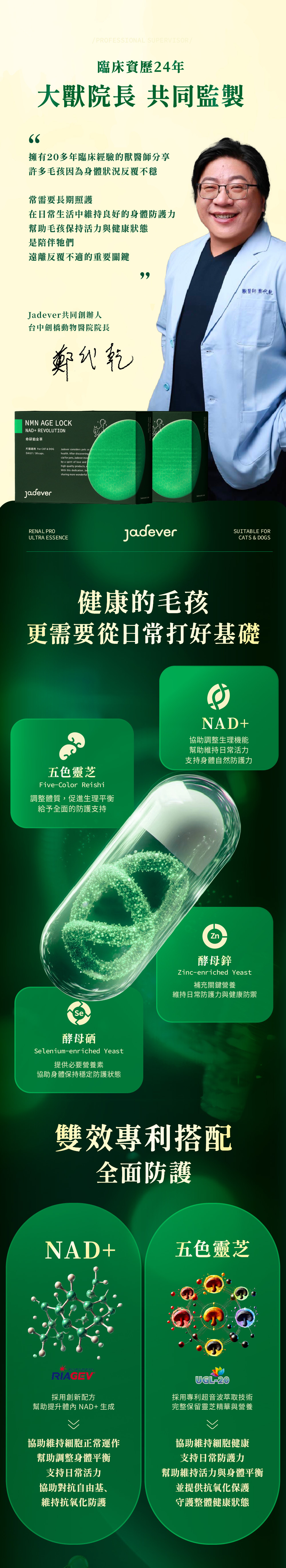 Jadever NMN 命研鉑金萃3入組（30顆/盒） 商品介紹圖 4