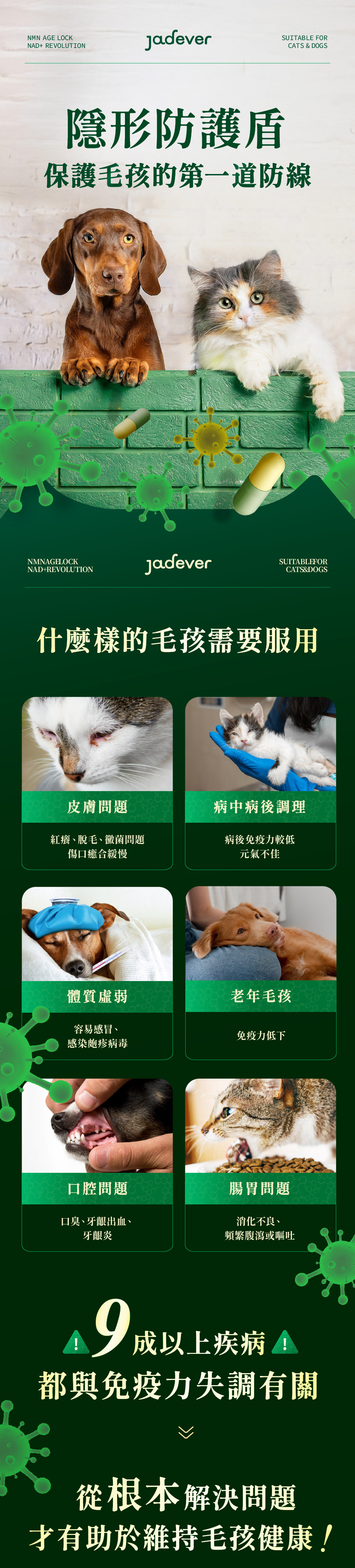 Jadever NMN 命研鉑金萃（30顆/盒） 商品介紹圖 2