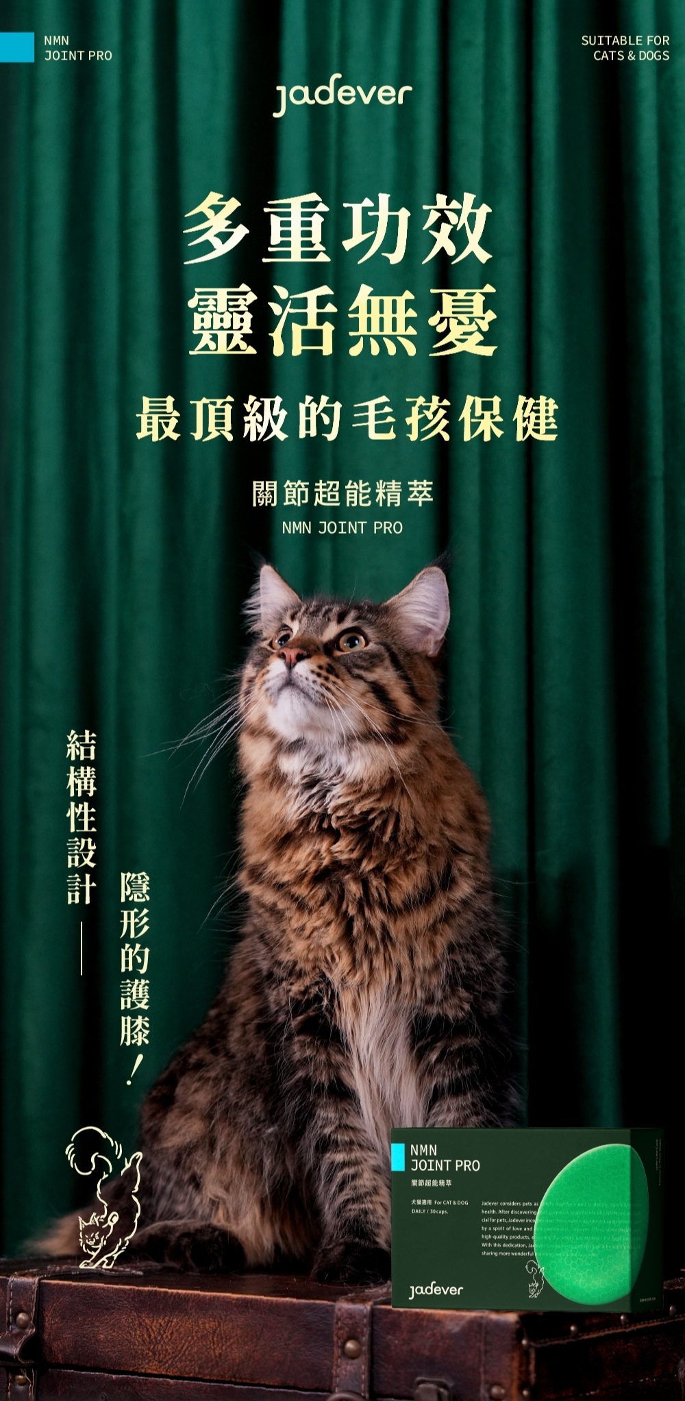 Jadever NMN關節超能精萃10入組（30顆/盒） 商品介紹圖 1
