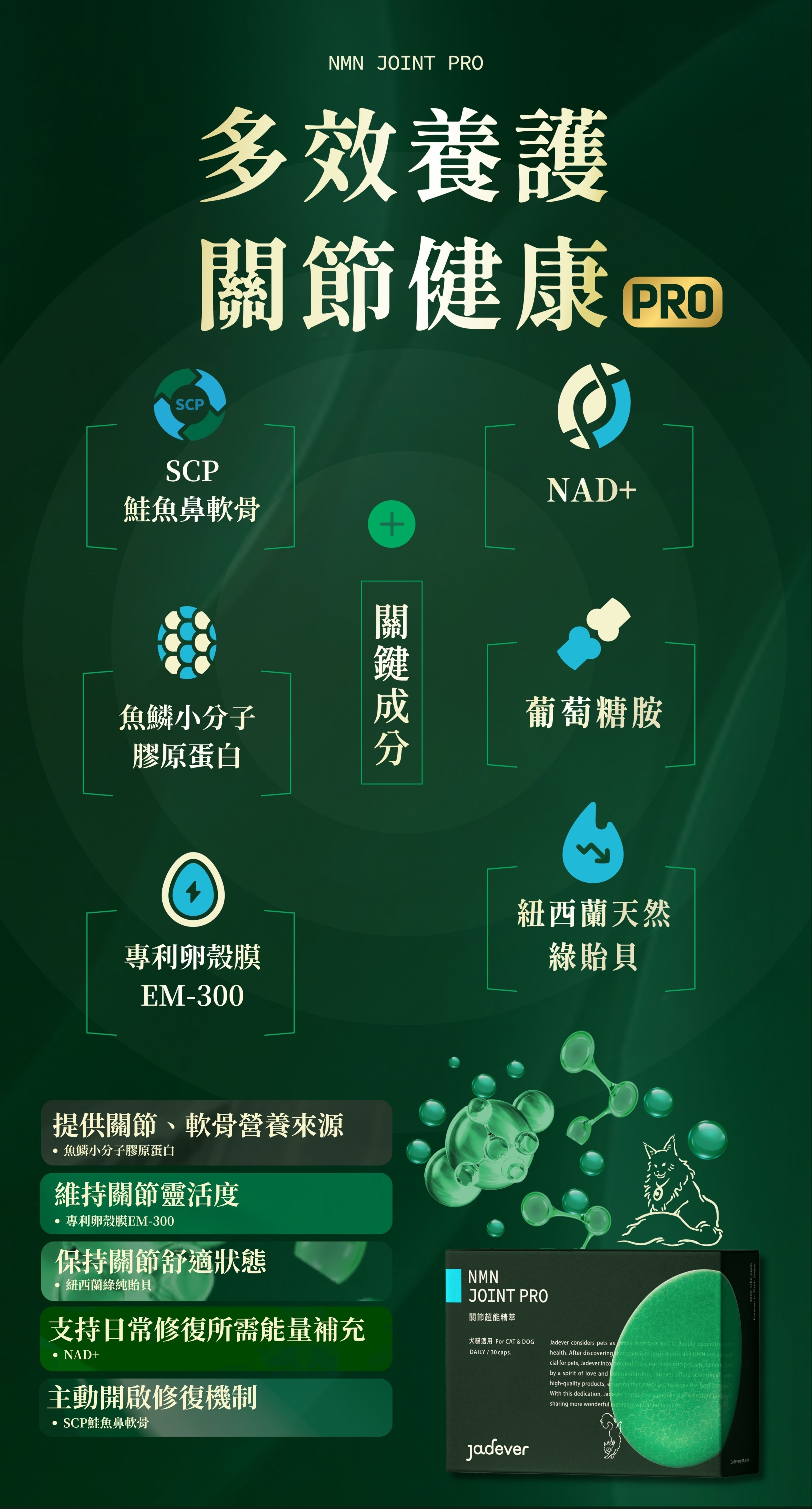 Jadever NMN關節超能精萃10入組（30顆/盒） 商品介紹圖 7