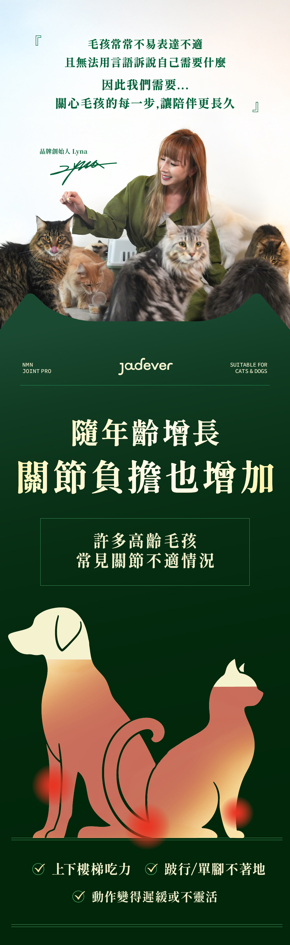 Jadever NMN關節超能精萃6入組（30顆/盒） 商品介紹圖 3