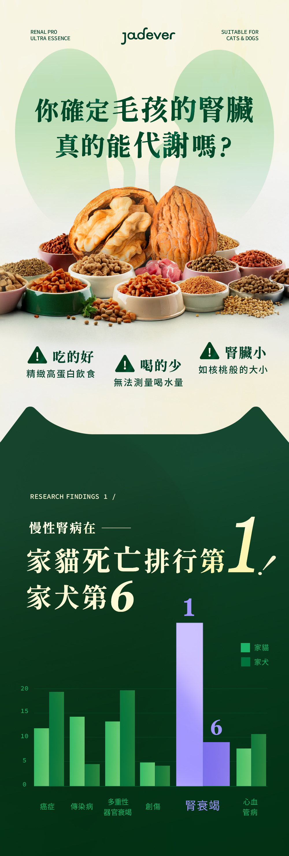 Jadever 護腎超導精華6入組 50ml / 瓶 商品介紹圖 3