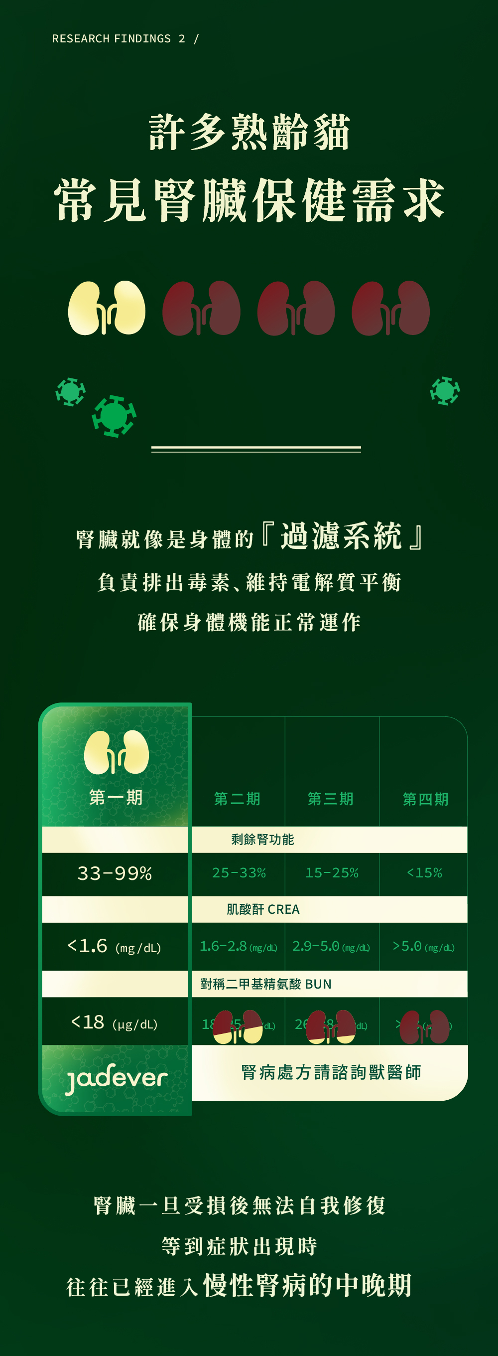 Jadever 護腎超導精華6入組 50ml / 瓶 商品介紹圖 4