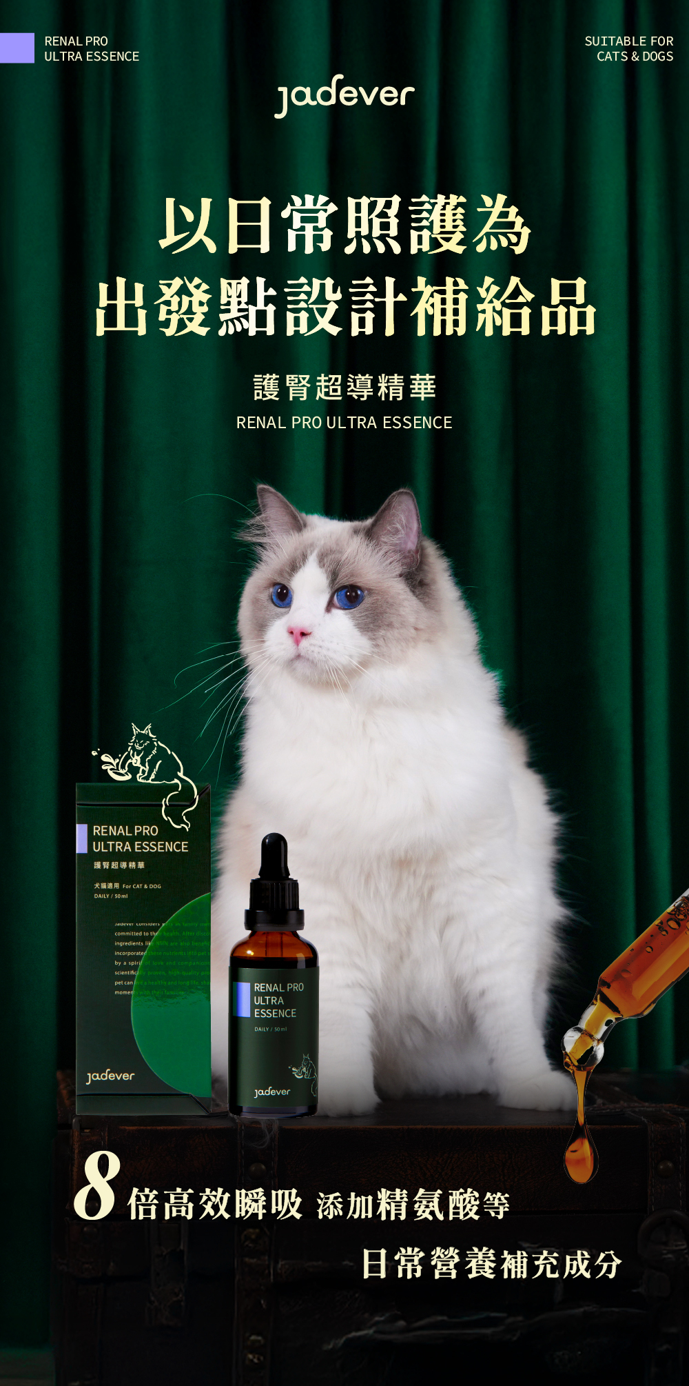 Jadever 護腎超導精華6入組 50ml / 瓶 商品介紹圖 1