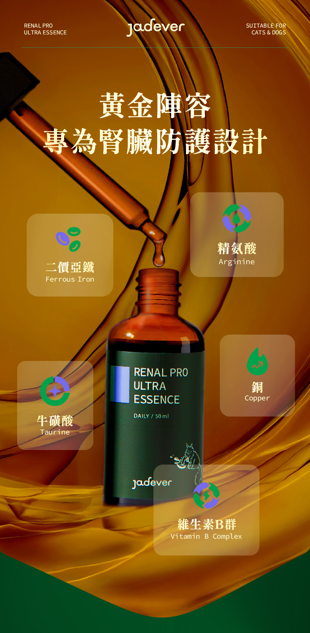 Jadever 護腎超導精華6入組 50ml / 瓶 商品介紹圖 9