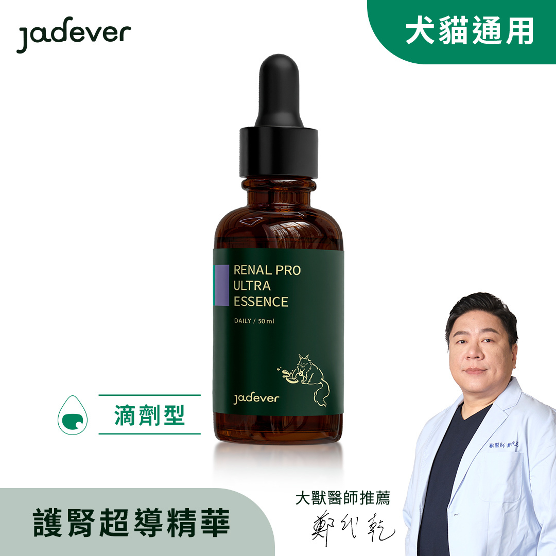 【Jadever】護腎超導精華 50ml / 瓶｜犬貓用精氨酸