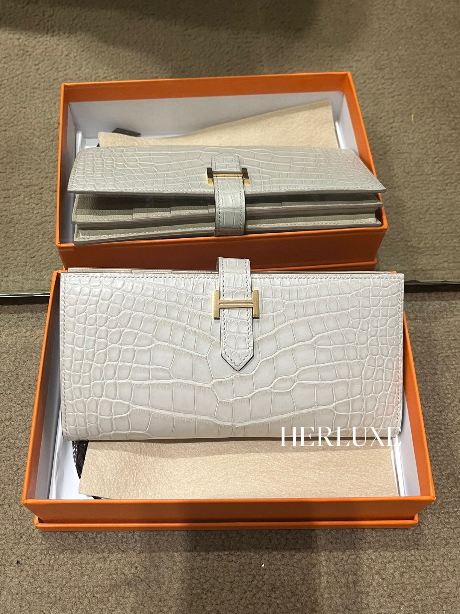 Bearn long wallet 8L beton cc alligator mississippiensi