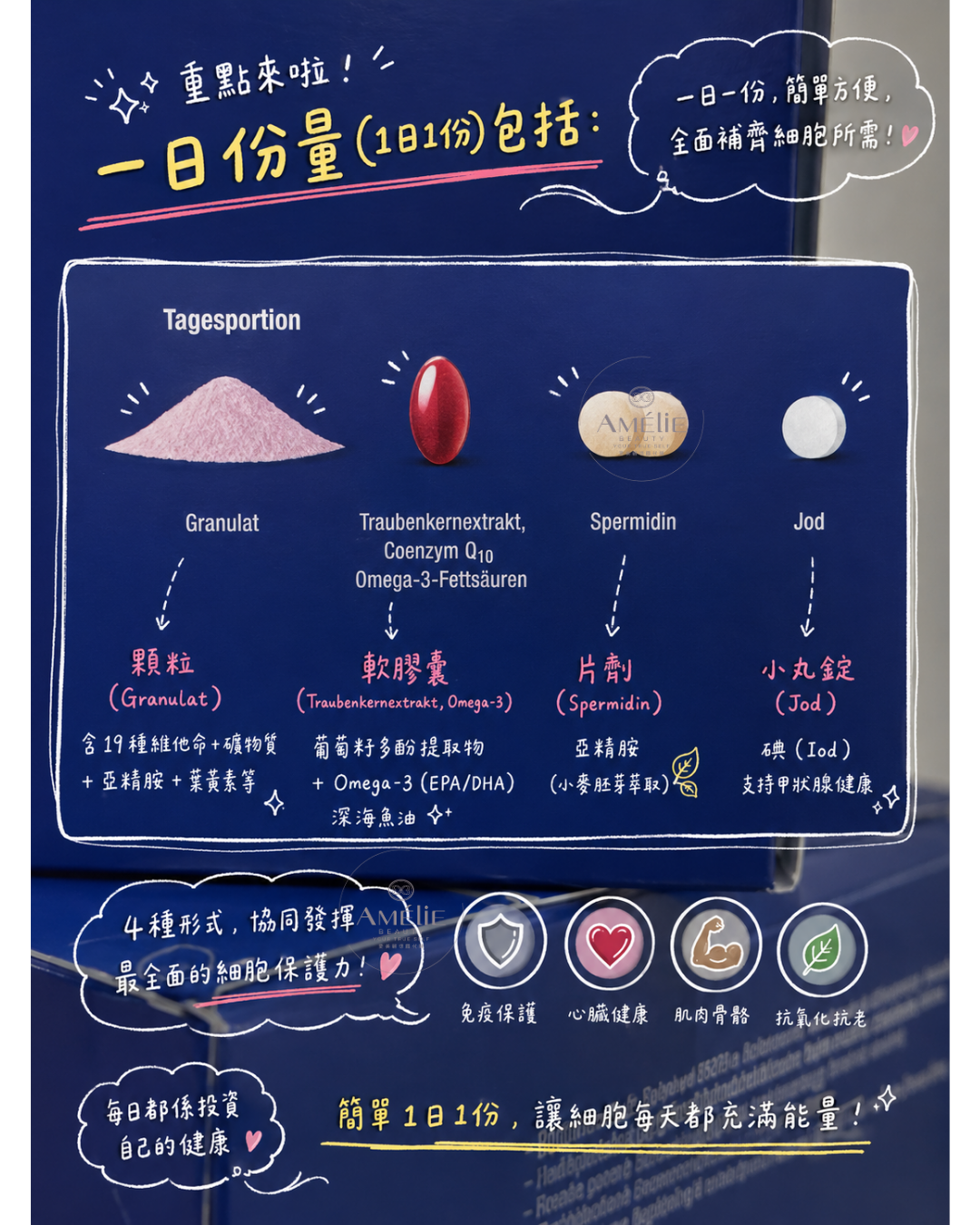 Orthomol Cellprotect德國奧適寶細胞健康營養素，深藍色包裝盒內含30天份量之顆粒、片劑與膠囊，配方含有亞精胺與Q10，具備全方位細胞抗氧化保護與提升免疫力功效。