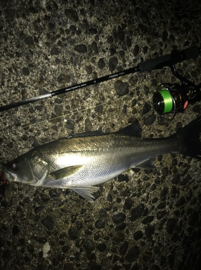 Ripple Fisher Real Crescent Technical Light-Game