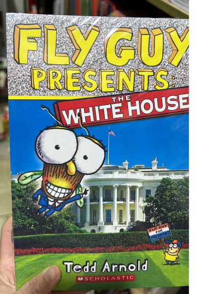 Fly guy 15本