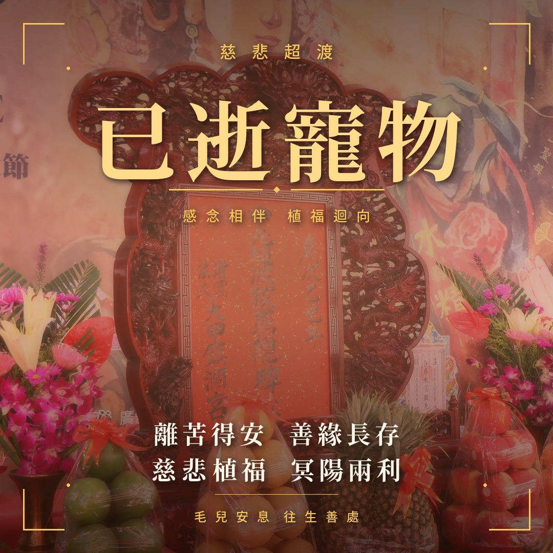 B:寵物超渡