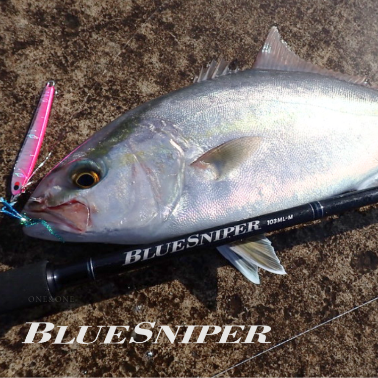 YAMAGA Blanks BlueSniper Shore Casting