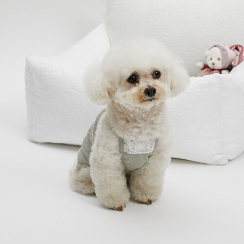 Louisdog 橄欖蕾絲細肩帶背心