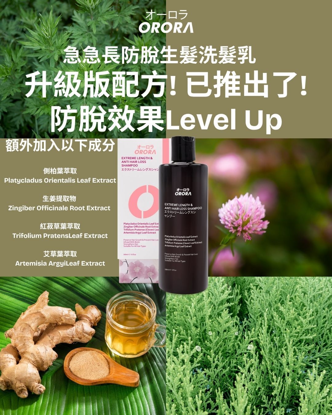 頭髮急急長。洗護系列(生髮。護髮。防脱髮)Orora 日本製造~166A