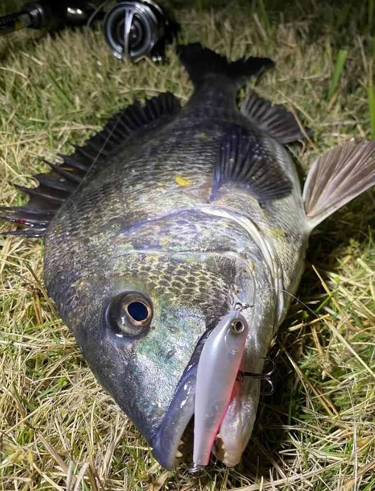 PICK UP Wasp Slalom