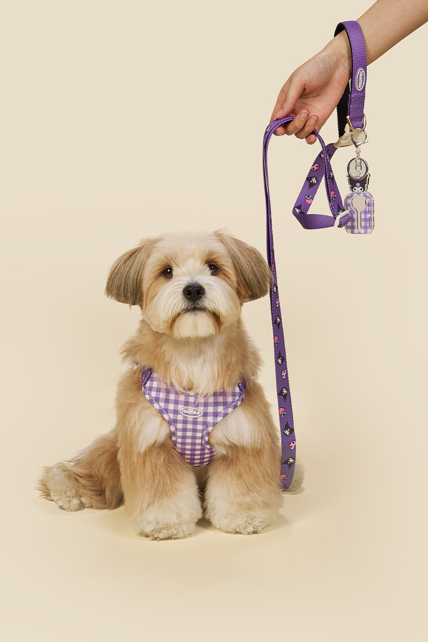 Sanrio harness