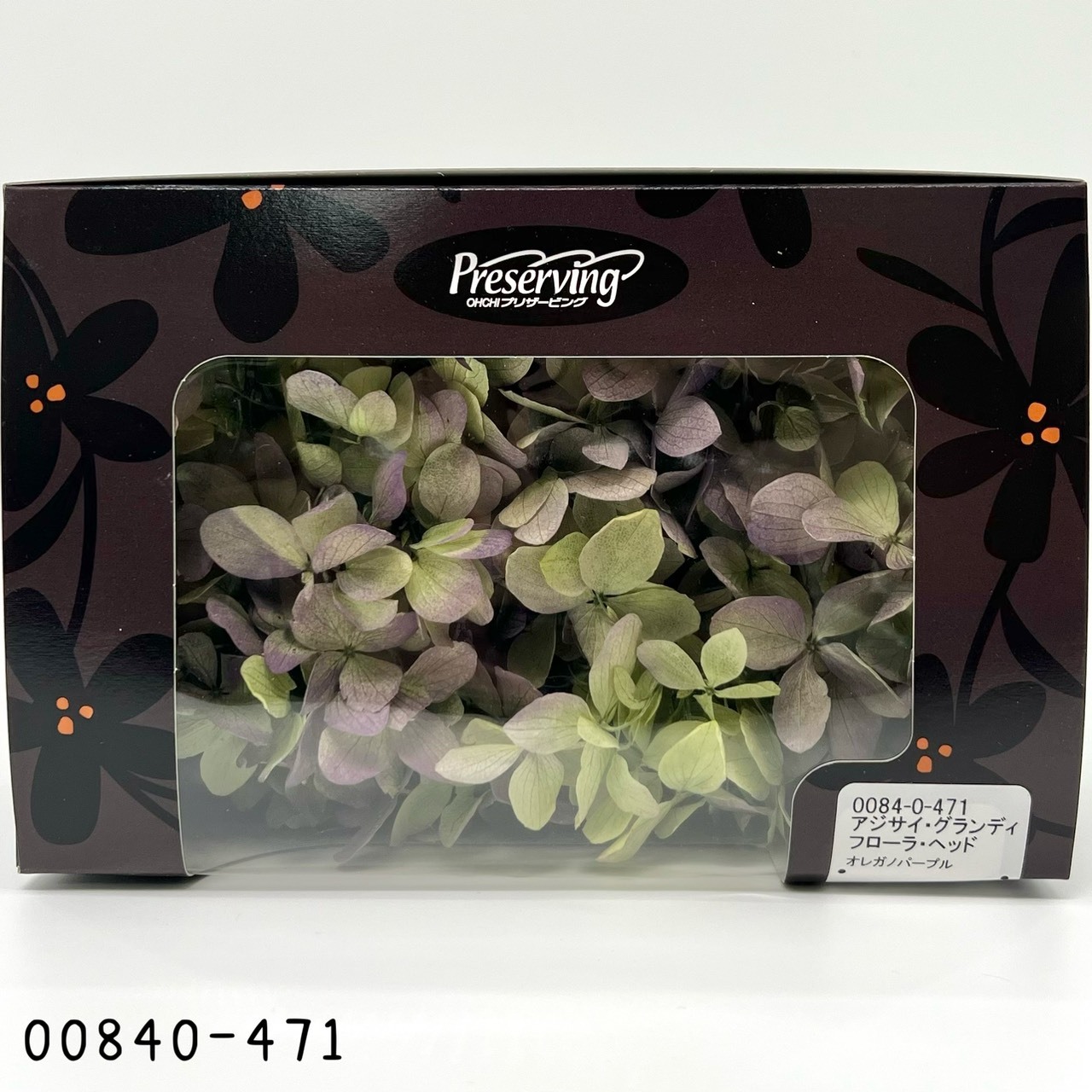 日本不凋大花繡球 00840-471