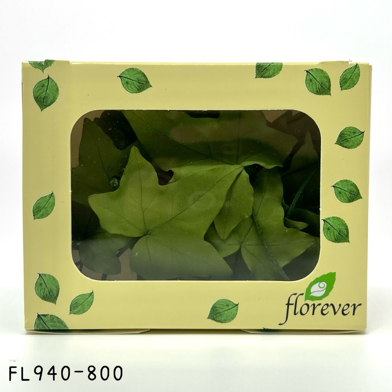 日本不凋長春藤葉FL940-800