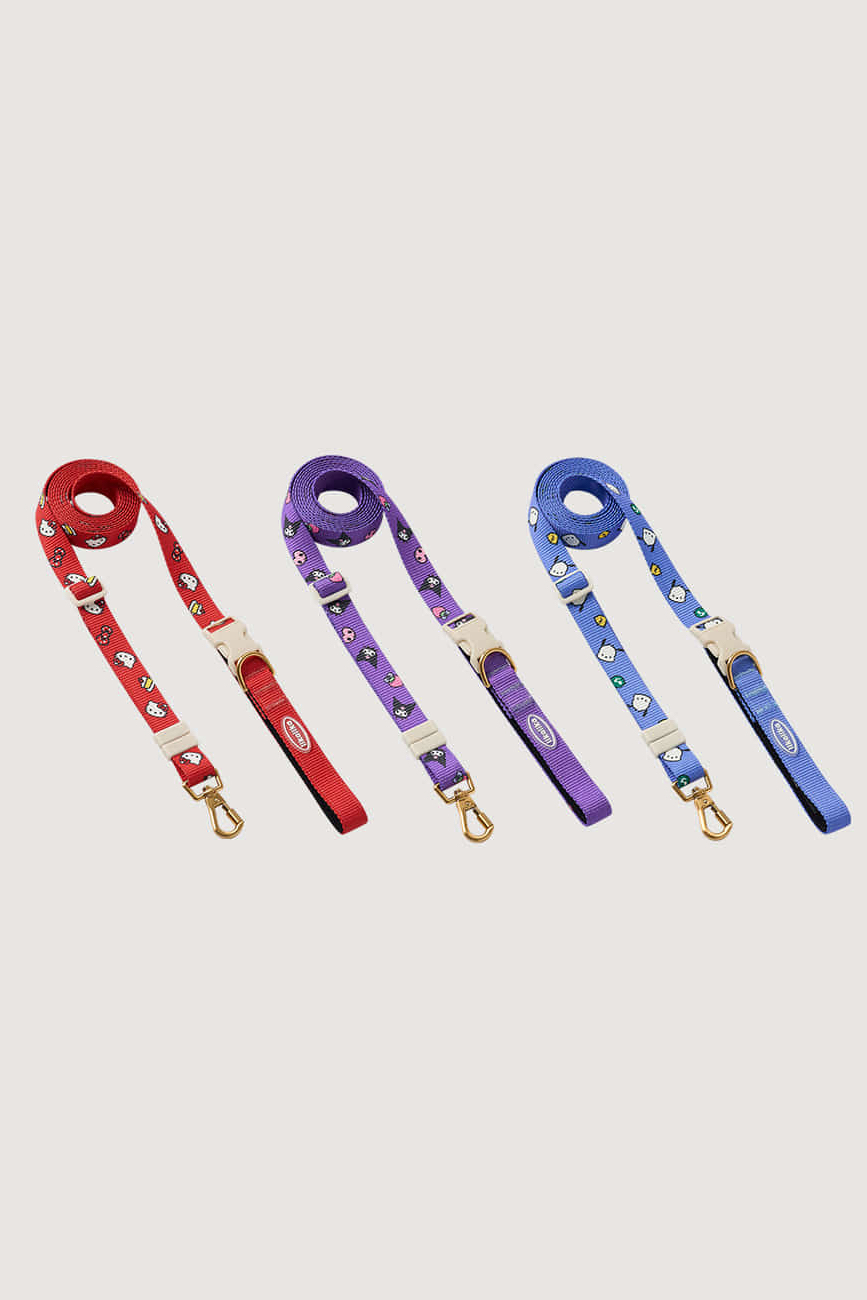 Sanrio leash (sanrio系列有機會快缺貨 需預訂)