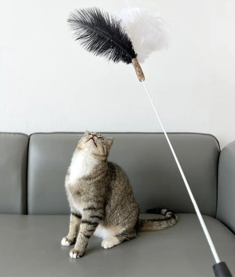 Catwant 貓玩具．雙色鴕鳥羽毛逗猫棒