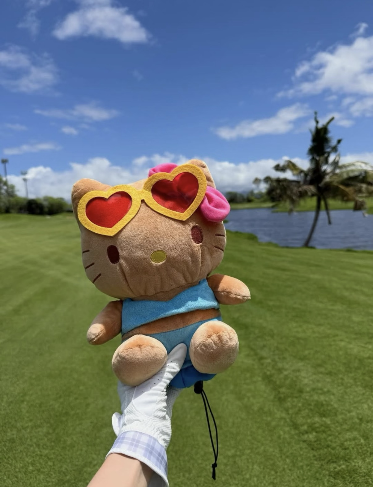 黑皮Hello Kitty Driver套🌺