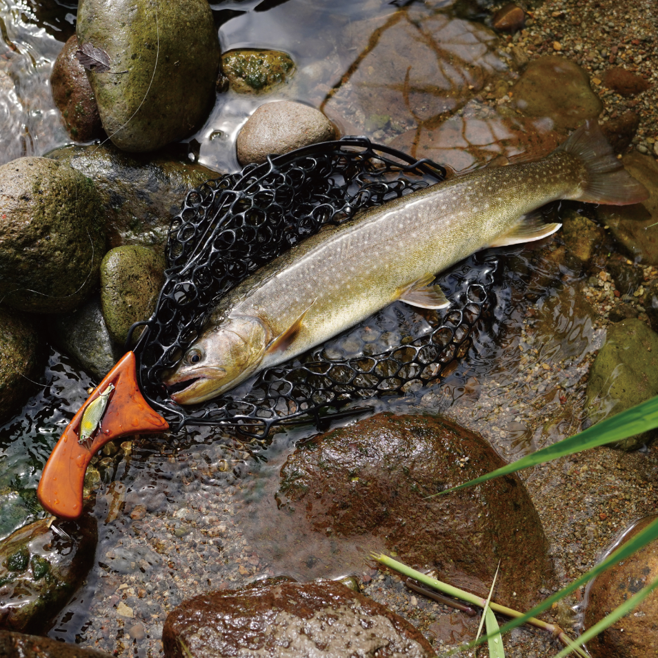 YAMANAMI Landing Net